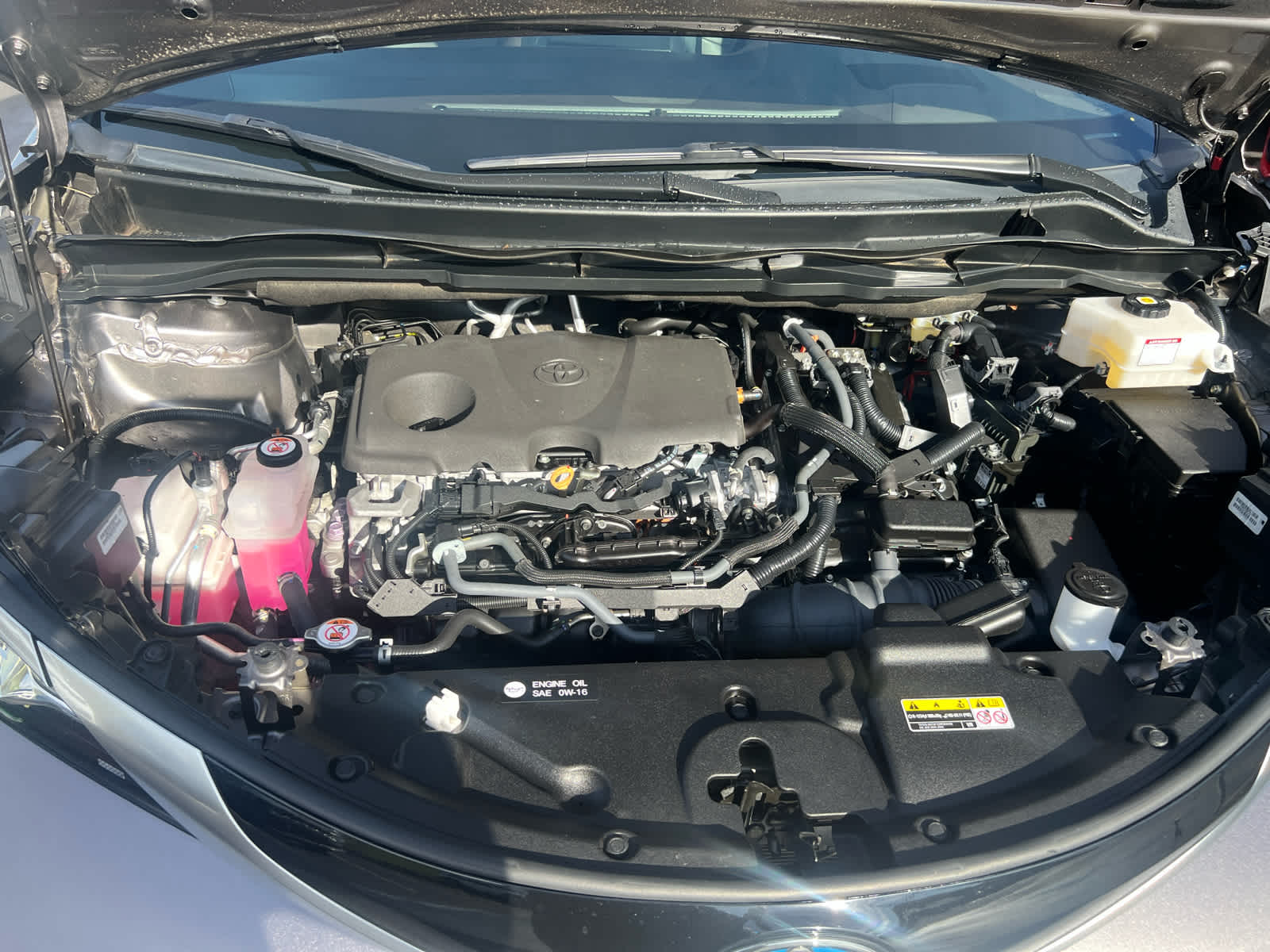 2023 Toyota Sienna Platinum