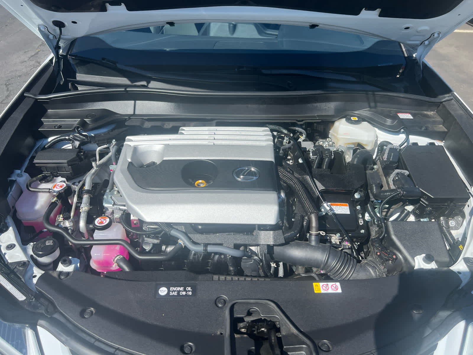 2024 Lexus UX UX 250h F SPORT Design