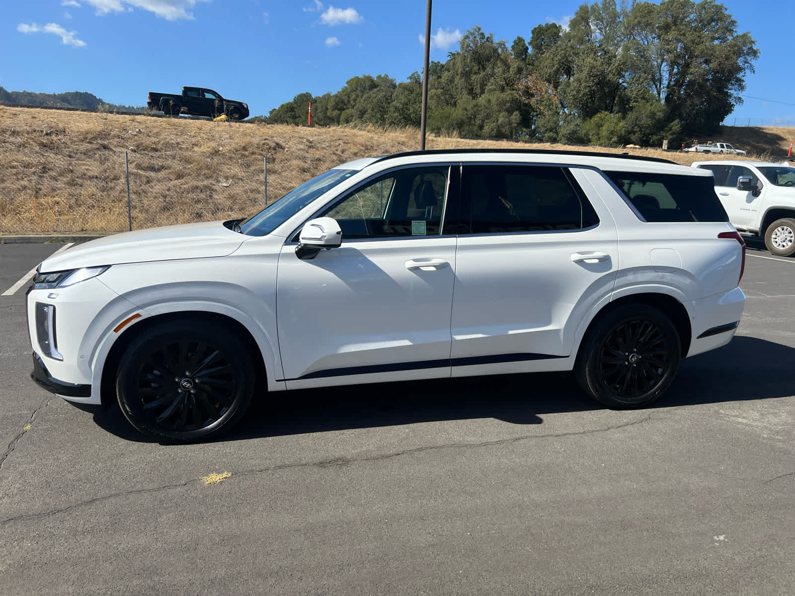 2024 Hyundai Palisade Calligraphy Night Edition