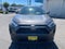 2024 Toyota RAV4 XLE AWD (Natl)