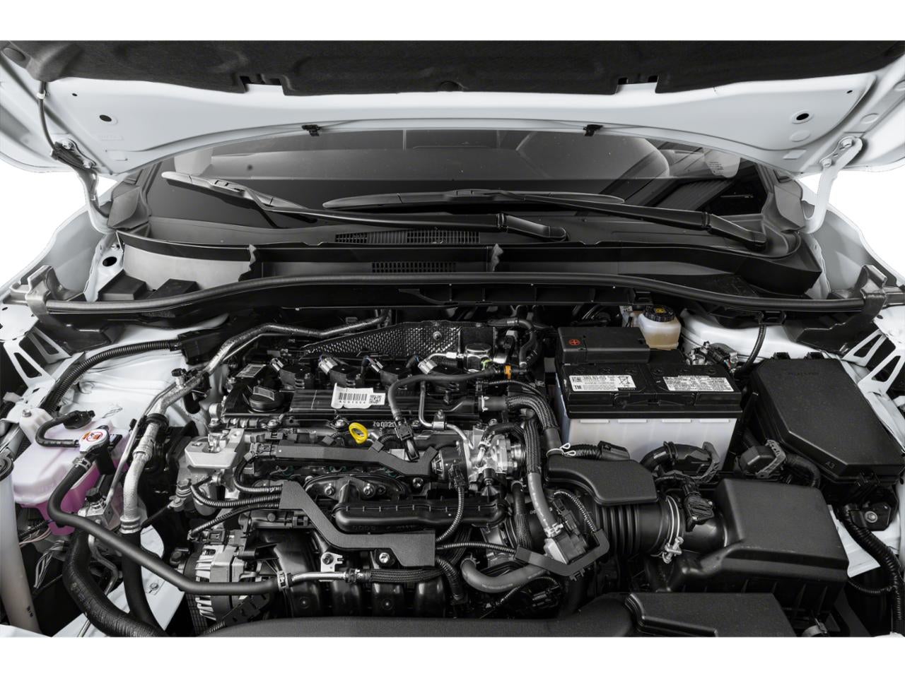 2022 Toyota Corolla Cross XLE 4WD (Natl)