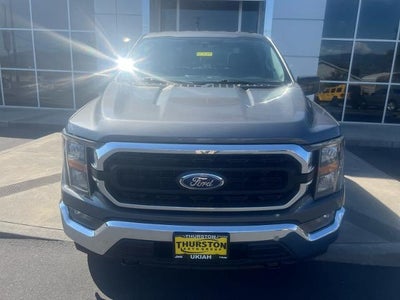 2023 Ford F-150 XLT 4WD SuperCrew 5.5' Box