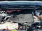 2024 Toyota Sequoia SR5 4WD (SE)