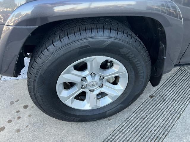 2023 Toyota 4Runner SR5 2WD (Natl)